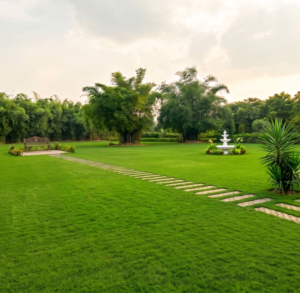 Best Picnic Venue in Ranchi